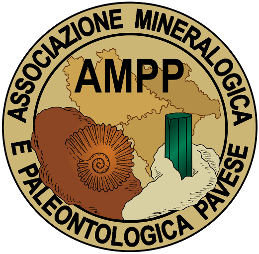 Associazione Mineralogica e Paleontologica Pavese