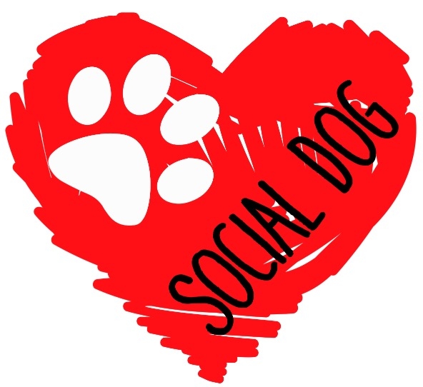 ASD Social Dog