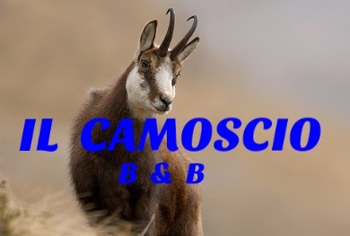 IL CAMOSCIO - b & b