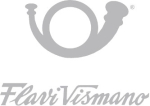 Flavi Vismano Brand's Graphic Evolution
